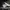 Sportswear Sweater Pria white black photo 6