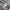 Gorpcore Sportswear Windbreaker Pria gray photo 8
