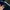 Adidas Sportswear Casual Pria navy photo 7