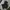 Polo Ralph Lauren Casual Bag Pria black photo 7