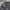 Polham Minimalist Harrington jacket Pria navy photo 3