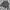 Polham Minimalist Harrington jacket Pria navy photo 1