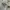 Guess Casual Hoody Pria white photo 3