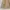 NII Vintage Casual Windbreaker Pria tan photo 4