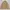 NII Vintage Casual Windbreaker Pria tan photo 1