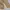 NII Vintage Casual Windbreaker Pria tan photo 5