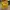 Fjällräven Lolita Indie Backpack Wanita yellow photo 1
