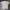 Streetwear T-shirt Pria cream photo 2