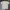 Streetwear T-shirt Pria Cream