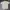 Streetwear T-shirt Pria cream photo 1
