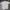 Streetwear T-shirt Pria Cream