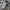 Timberland Streetwear Minimalist Hoody Pria gray photo 4