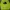 Pancoat Avant Garde Sweater Pria Yellow