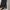Adidas Sportswear Casual Sweatpants & Joggers Wanita black photo 7