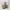 Converse Vintage Pria tan photo 1