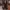 Birkenstock Luxury Lolita Boots Wanita brown photo 5