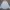 Guy Laroche Luxury Minimalist Formal shirt Pria multicolor photo 1