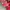 Vintage Shoulder bag Wanita red photo 8