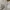 Polo Ralph Lauren Minimalist Casual Formal shirt Pria cream photo 2