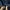 Polo Ralph Lauren Minimalist Casual Formal shirt Pria navy photo 4