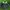 Y2K Sportswear Sweater Pria green navy photo 1