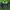 Y2K Sportswear Sweater Pria Green Navy