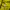Le Coq Sportif Casual Track jacket Wanita yellow photo 4