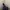 hoodie usa photo 2