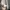 Covernat Streetwear Sportswear Sweater Pria white gray photo 3