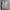 Nike Streetwear Sportswear Sweater Pria gray photo 1
