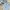 Pedro Vintage Luxury Shoulder bag Wanita blue photo 1