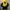 Gorpcore Sportswear Hoody Wanita black yellow photo 1