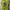 Adidas Casual Casual shirt Pria multicolor photo 1