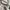 Dickies Streetwear Hoody Pria gray photo 7