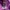 GAP Streetwear Y2K Hoody Pria purple photo 5