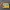 Dickies Streetwear Sweater Pria yellow photo 1