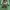 Teenie Weenie Streetwear Y2K Hoody Pria green photo 3