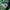 Teenie Weenie Streetwear Y2K Hoody Pria green photo 4