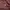 Casual Trench coat Pria burgundy photo 2