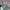 Burberry Luxury Polo shirt Pria multicolor photo 3