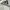 Adidas Streetwear Y2K Hoody Pria white photo 3