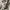 Adidas Streetwear Y2K Hoody Pria white photo 5