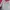 Casual Bomber jacket Pria white red photo 6