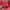 Dickies Vintage Y2K Hoody Pria red photo 3