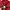 Dickies Vintage Y2K Hoody Pria red photo 4