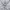VANS Luxury Casual Harrington jacket Pria white photo 3