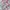 VANS Luxury Casual Harrington jacket Pria white photo 6