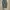 Vintage Streetwear Jeans Pria blue photo 2