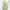 Streetwear Y2K Tracksuit Pria green photo 1