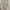 Polo Ralph Lauren Luxury Minimalist Harrington jacket Pria cream photo 4